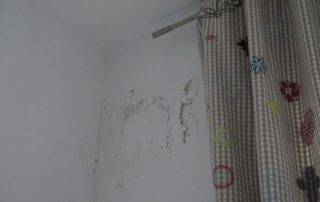 Broeckelnde Zimmerwand Gutachten