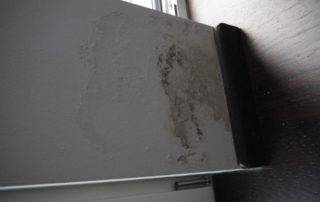 Schimmel Wand Gutachten