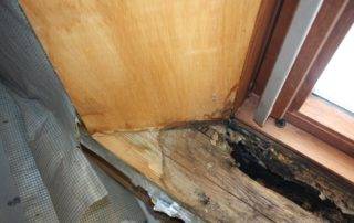 Bauschaden Gutachten